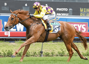 coolmore-stud Coolmore Stud using Takeuchi machinery on farm